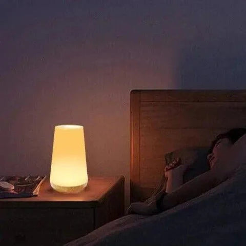 Oplaadbare Stemmingslamp met Aanraakbediening – Draagbare Verlichting voor Binnen en Buiten 5