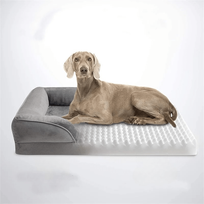 Orthopedisch Hondenbed met Afneembare Hoes – Comfortabel en Ondersteunend Hondenbedje 4