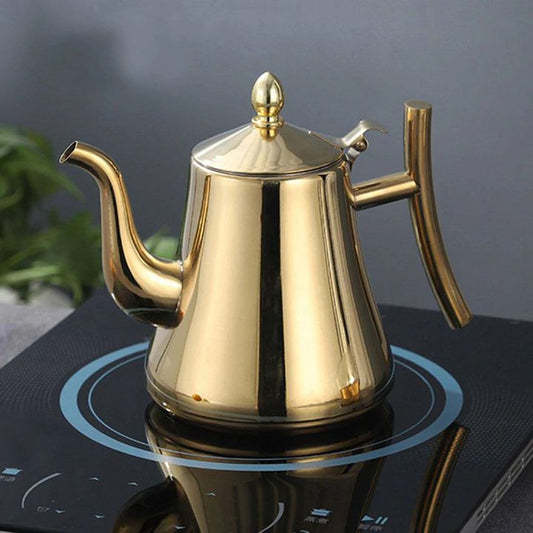 Inductieketel van Roestvrij Staal met Filter voor Snel Koken en Modern Ontwerp 0