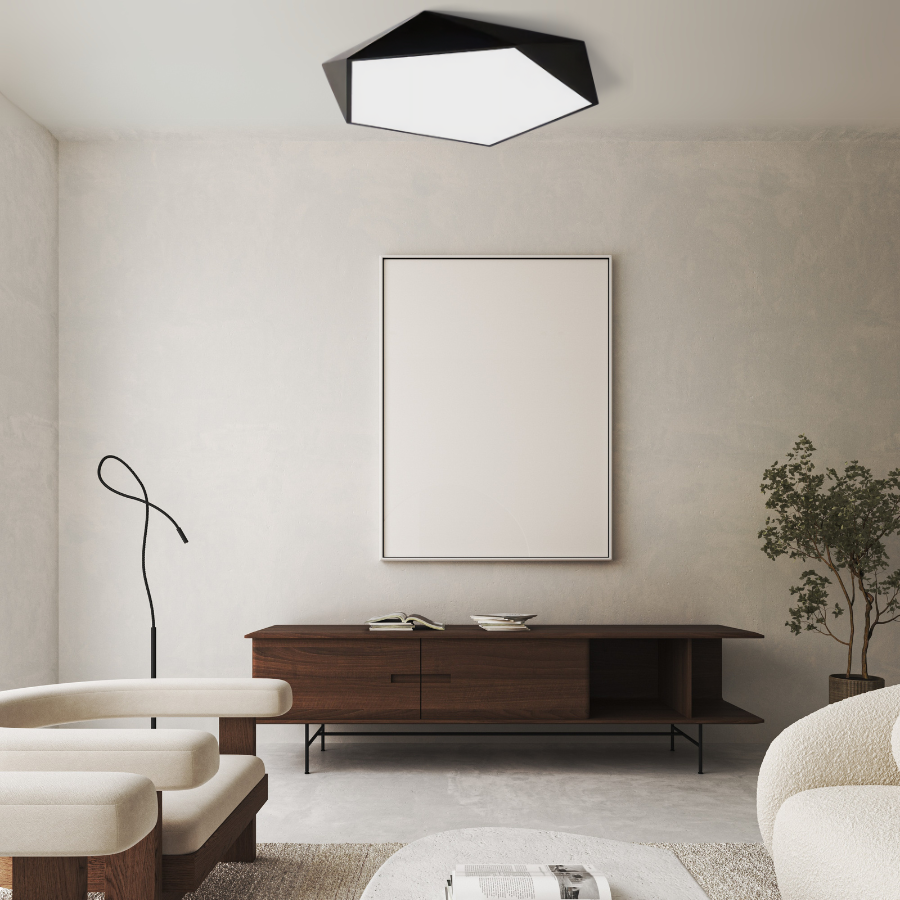 Plafondlamp met Geometrisch Ontwerp en LED Verlichting Zwart