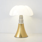 Geel/Goud