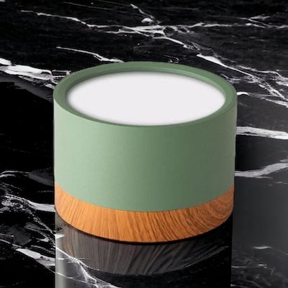 Dimbare Aluminium LED Plafondspotlight Groen